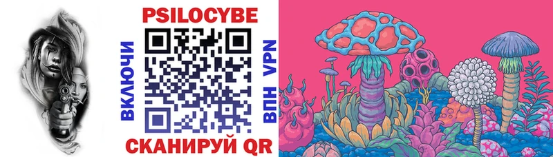 Псилоцибиновые грибы Psilocybe  Разумное 
